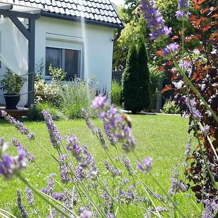 Otium Wellness Apartmanhaz * Balatonakarattya