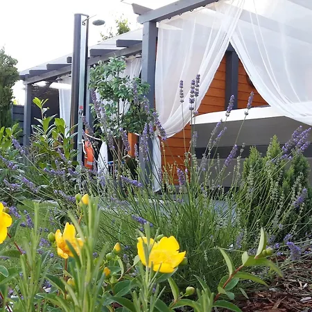 Otium Wellness Apartmanhaz Balatonakarattya